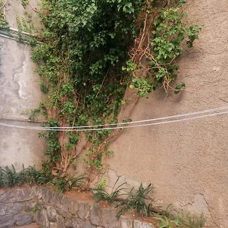 Adelasia * Alassio